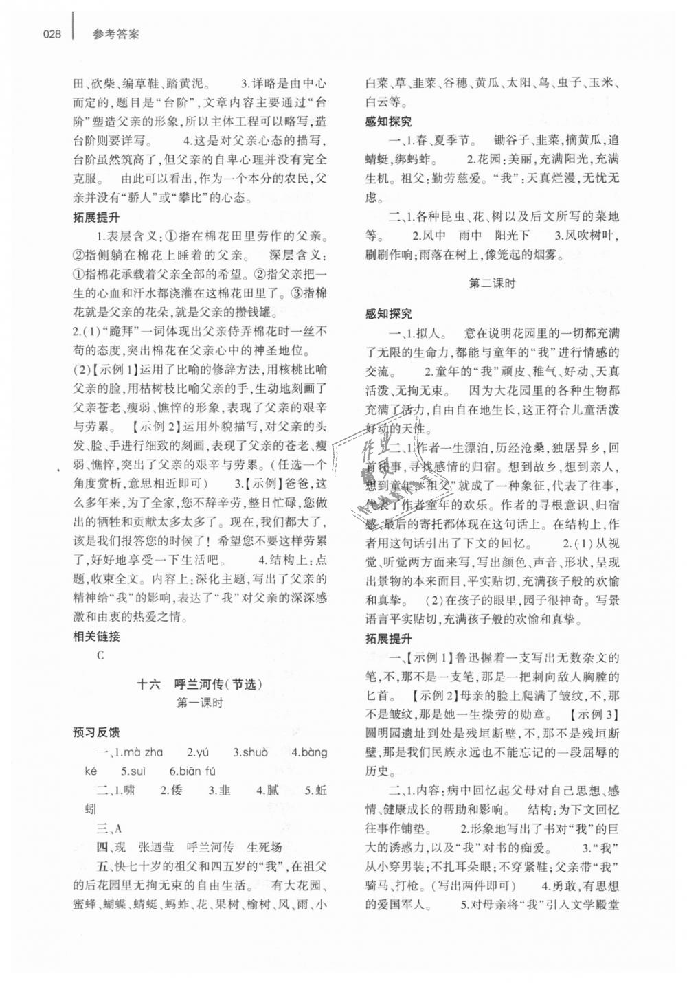 2018年基礎訓練九年級語文全一冊蘇教版大象出版社 第28頁