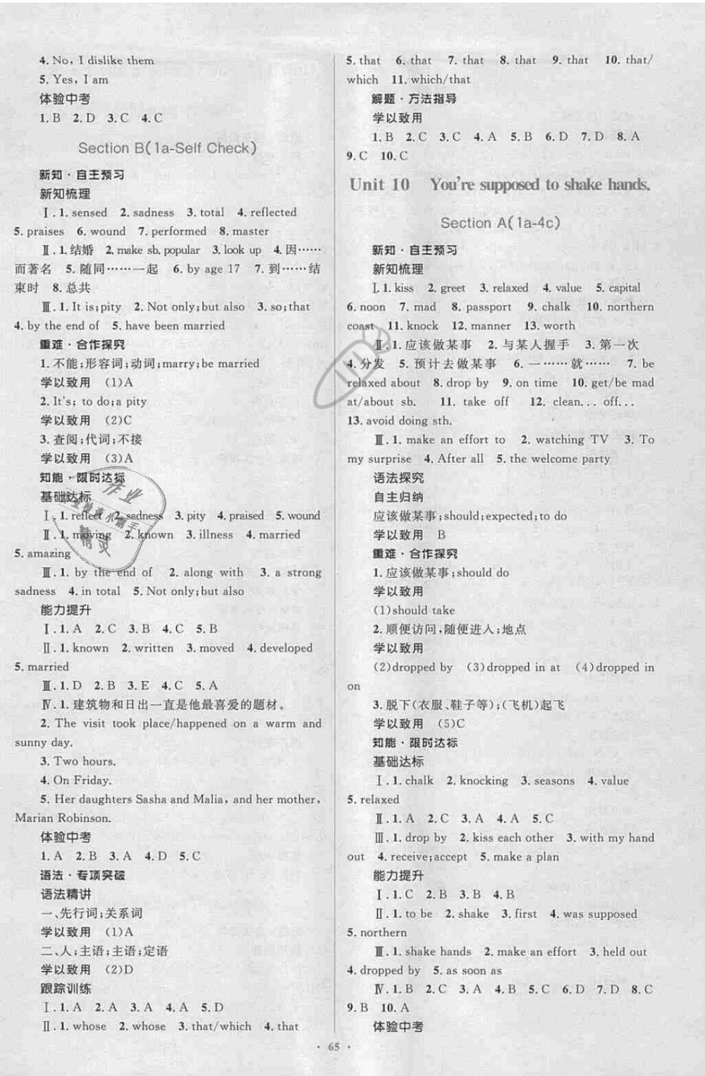 2018年新課標初中同步學習目標與檢測九年級英語全一冊人教版 第9頁