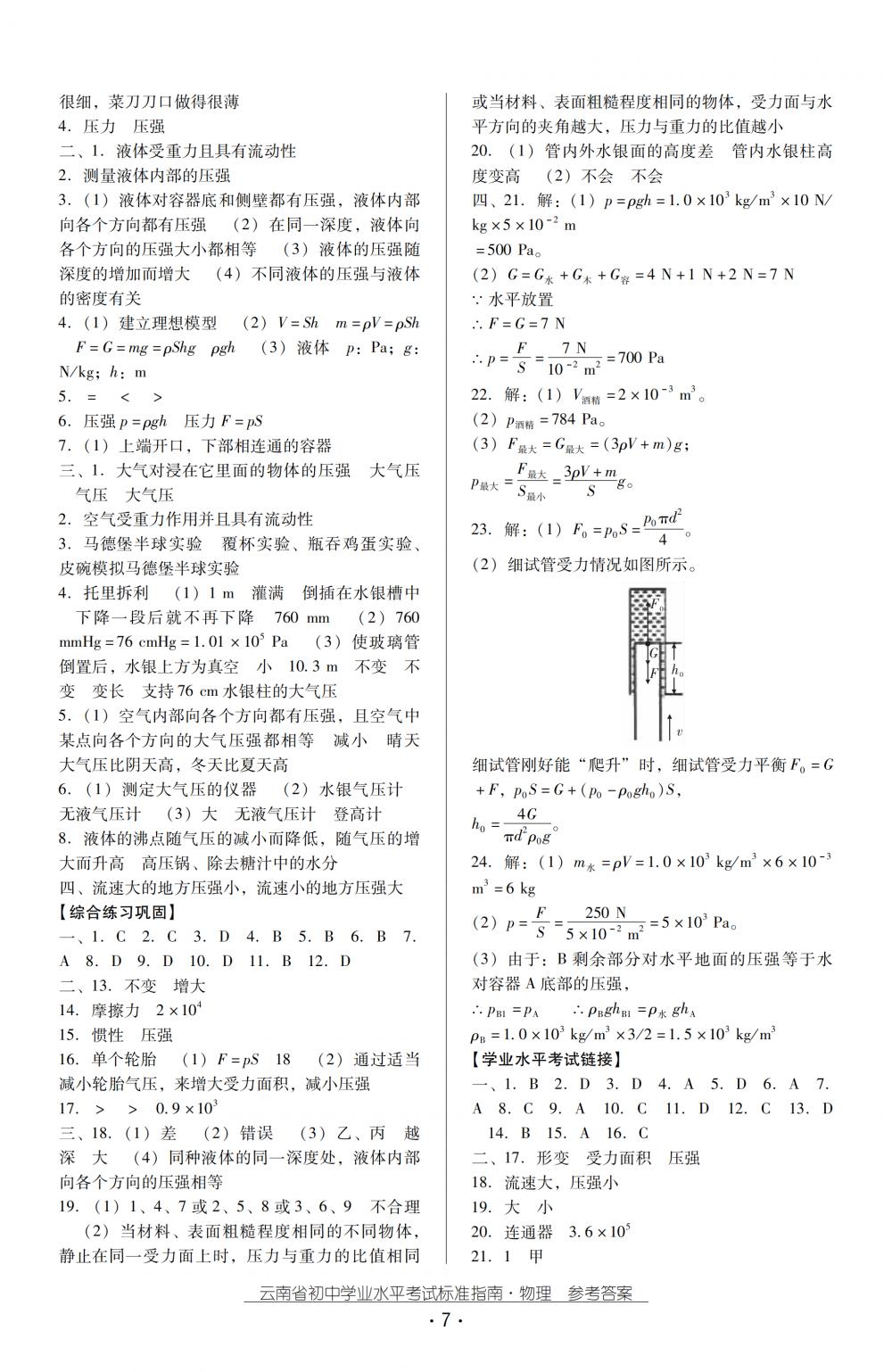 2018秋云南初中學業(yè)水平考試物理總復習 第7頁