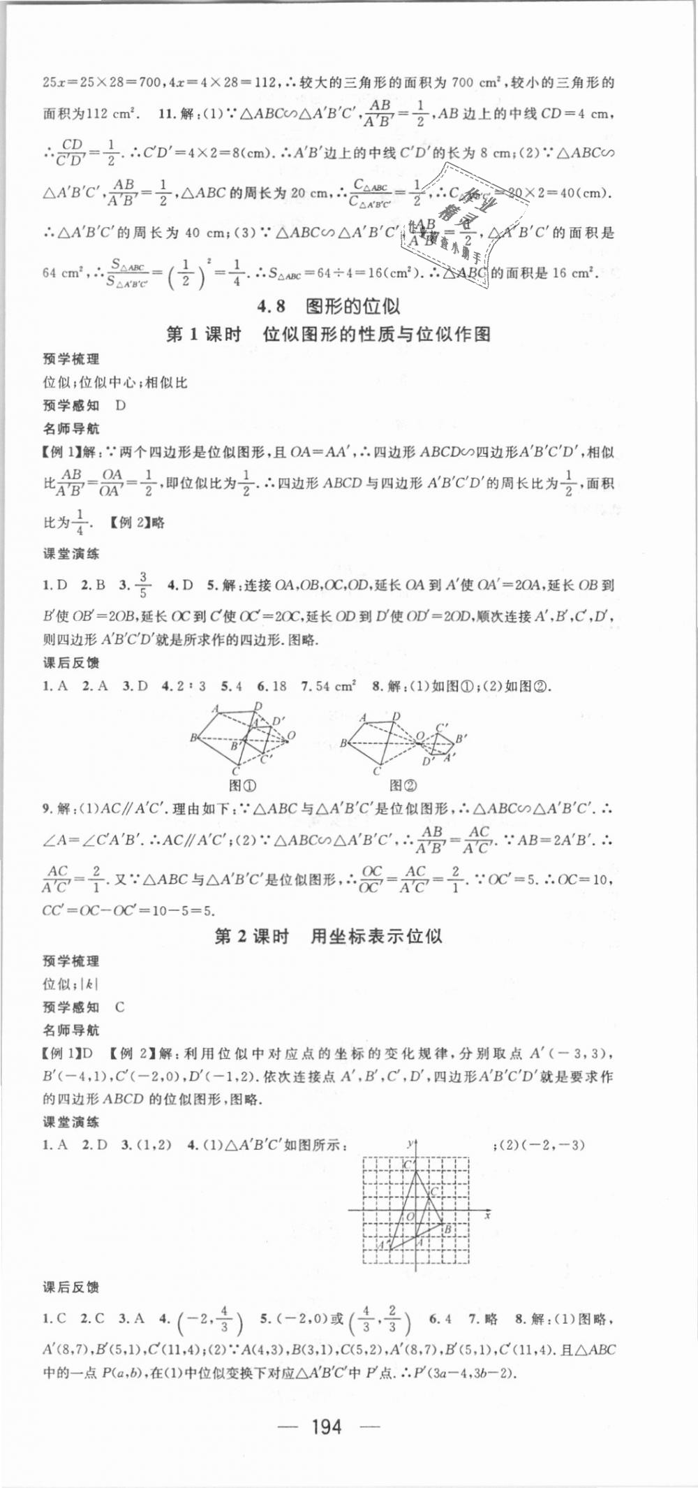 2018年名师测控九年级数学上册北师大版 第24页