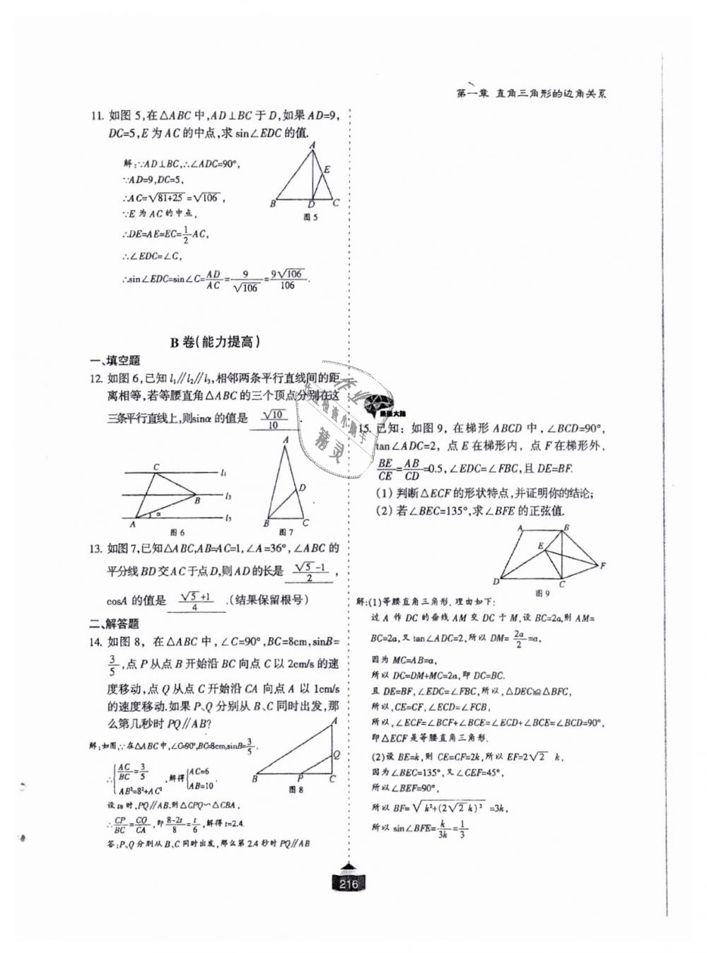 2018年蓉城課堂給力A加九年級數(shù)學全一冊北師大版 第217頁