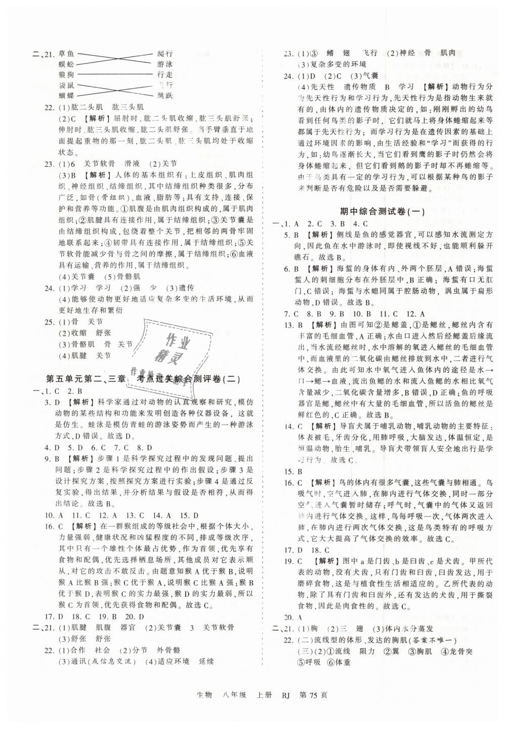 2018年王朝霞考點梳理時習(xí)卷八年級生物上冊人教版 第3頁