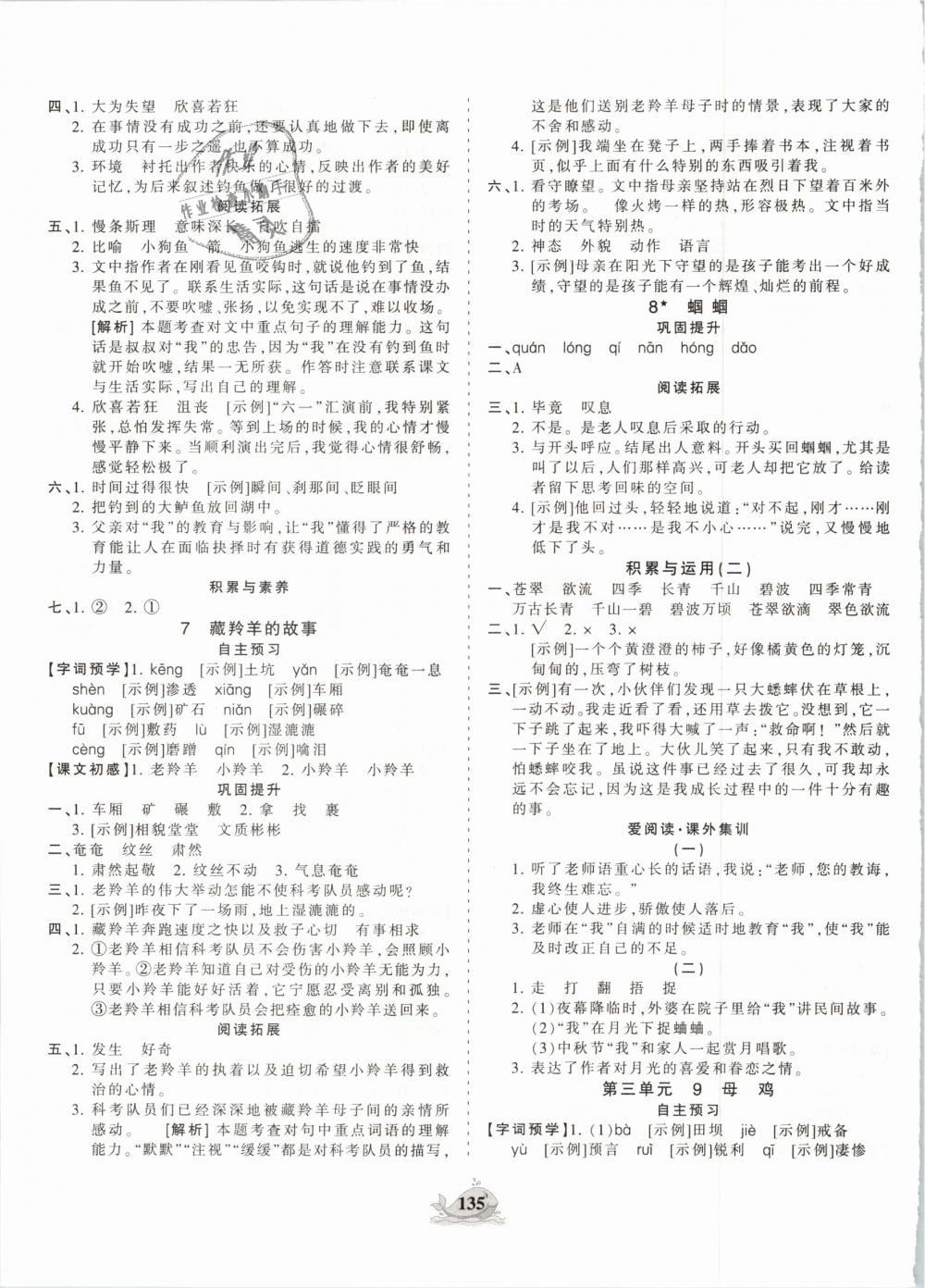 2018年王朝霞德才兼?zhèn)渥鳂I(yè)創(chuàng)新設(shè)計五年級語文上冊西師大版 第3頁