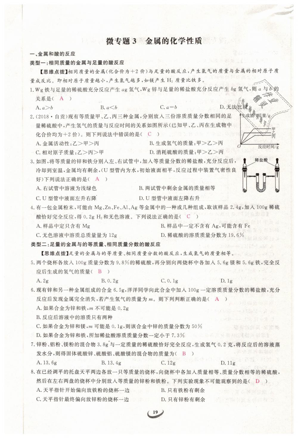 2019年思維新觀察九年級(jí)化學(xué)下冊(cè)人教版 第19頁