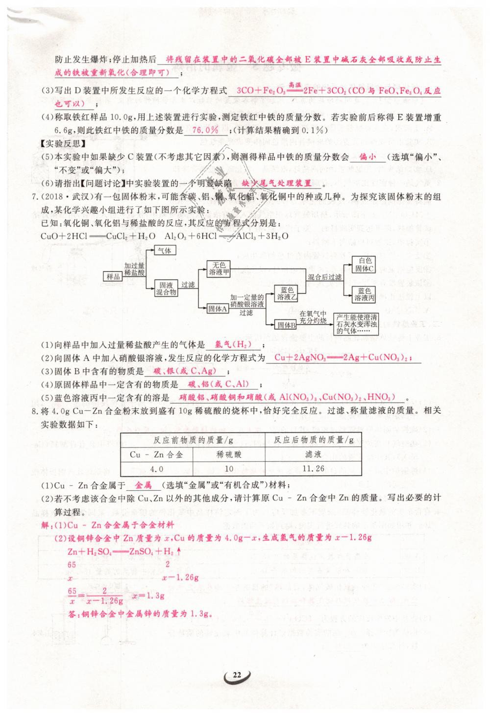 2019年思維新觀察九年級化學(xué)下冊人教版 第22頁