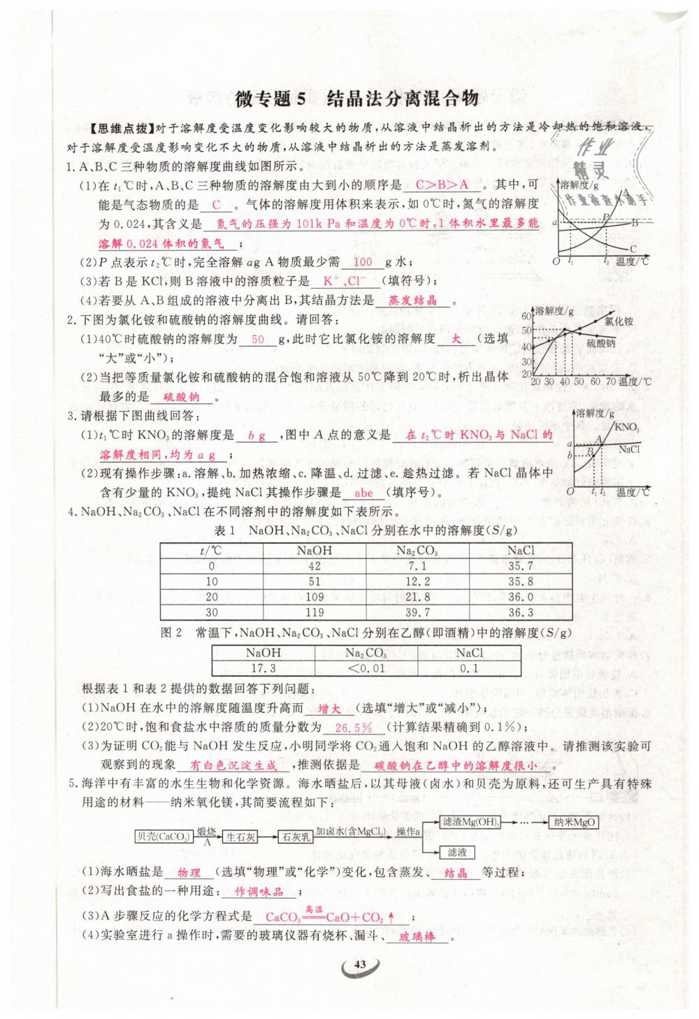 2019年思維新觀察九年級化學下冊人教版 第43頁