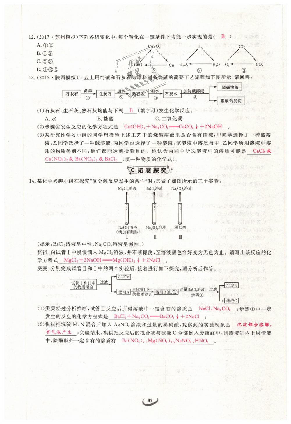 2019年思維新觀察九年級(jí)化學(xué)下冊(cè)人教版 第87頁(yè)