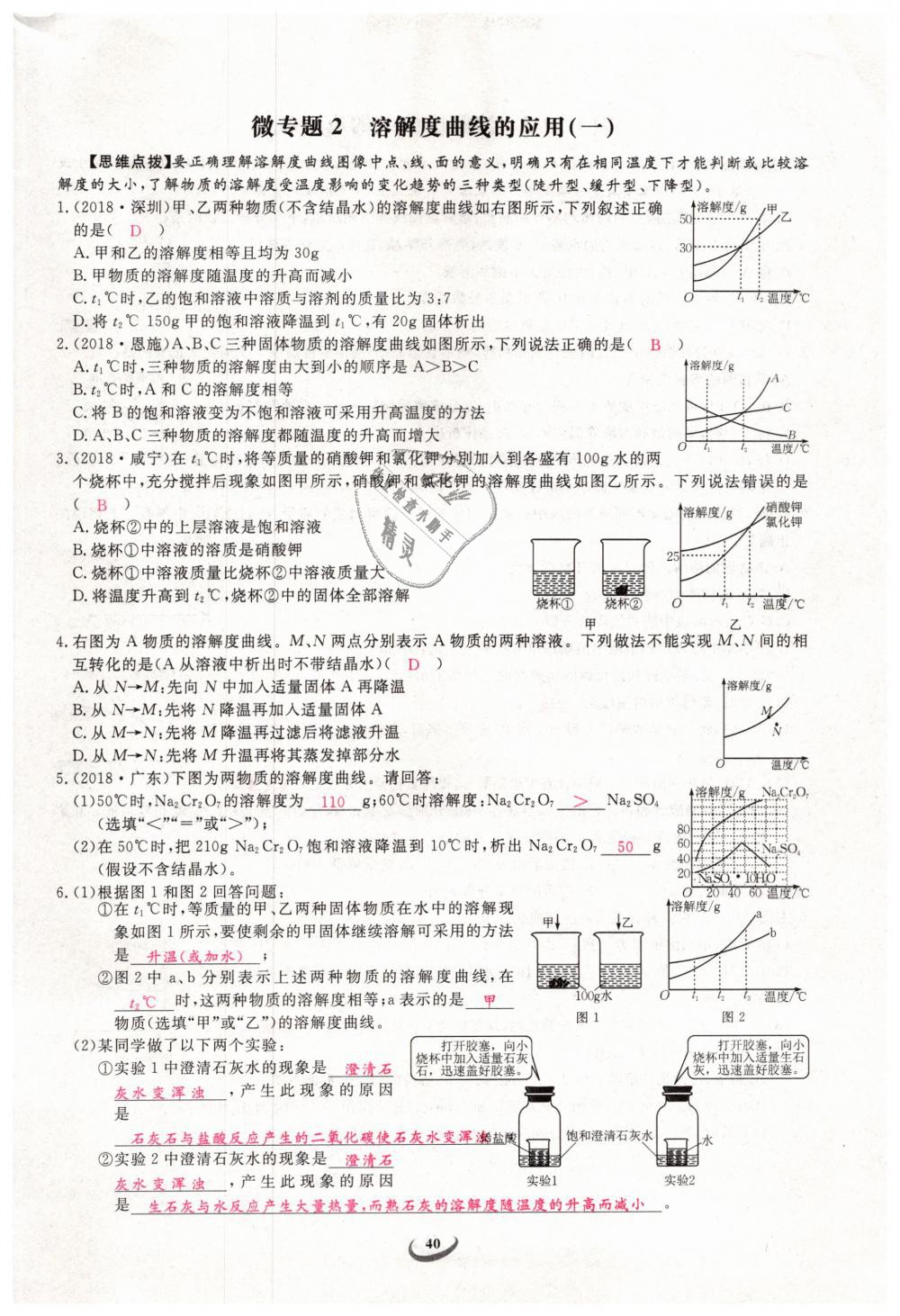 2019年思維新觀察九年級化學下冊人教版 第40頁