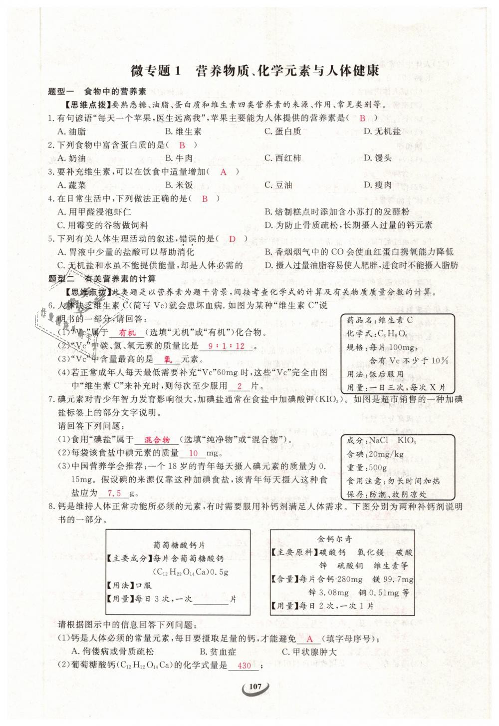 2019年思維新觀察九年級化學下冊人教版 第107頁