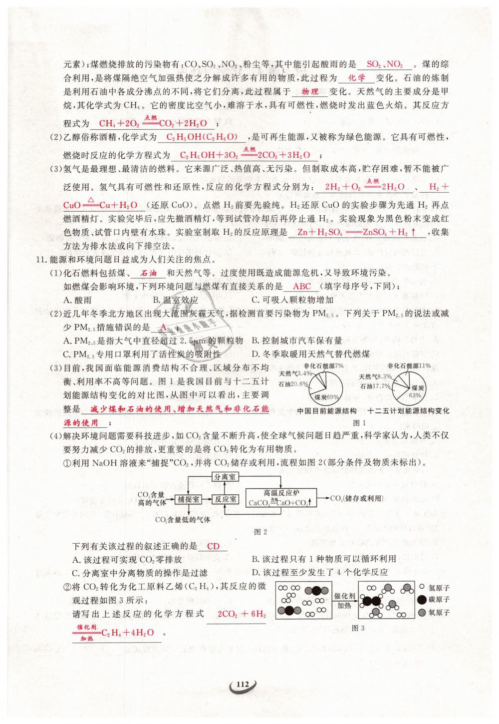 2019年思維新觀察九年級(jí)化學(xué)下冊(cè)人教版 第112頁(yè)