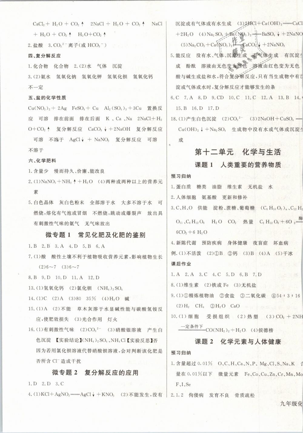 2019年思維新觀察九年級(jí)化學(xué)下冊(cè)人教版 第154頁