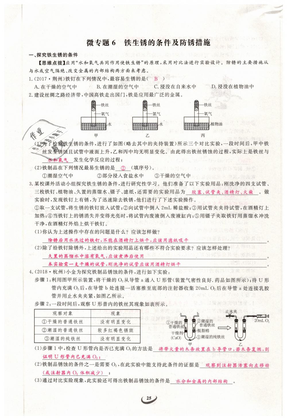 2019年思維新觀察九年級(jí)化學(xué)下冊(cè)人教版 第25頁