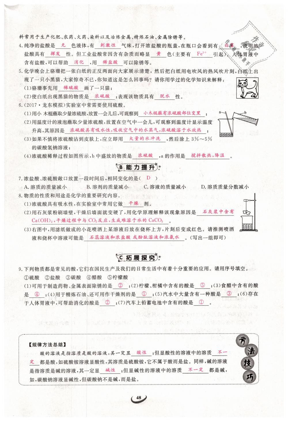 2019年思維新觀察九年級化學下冊人教版 第48頁