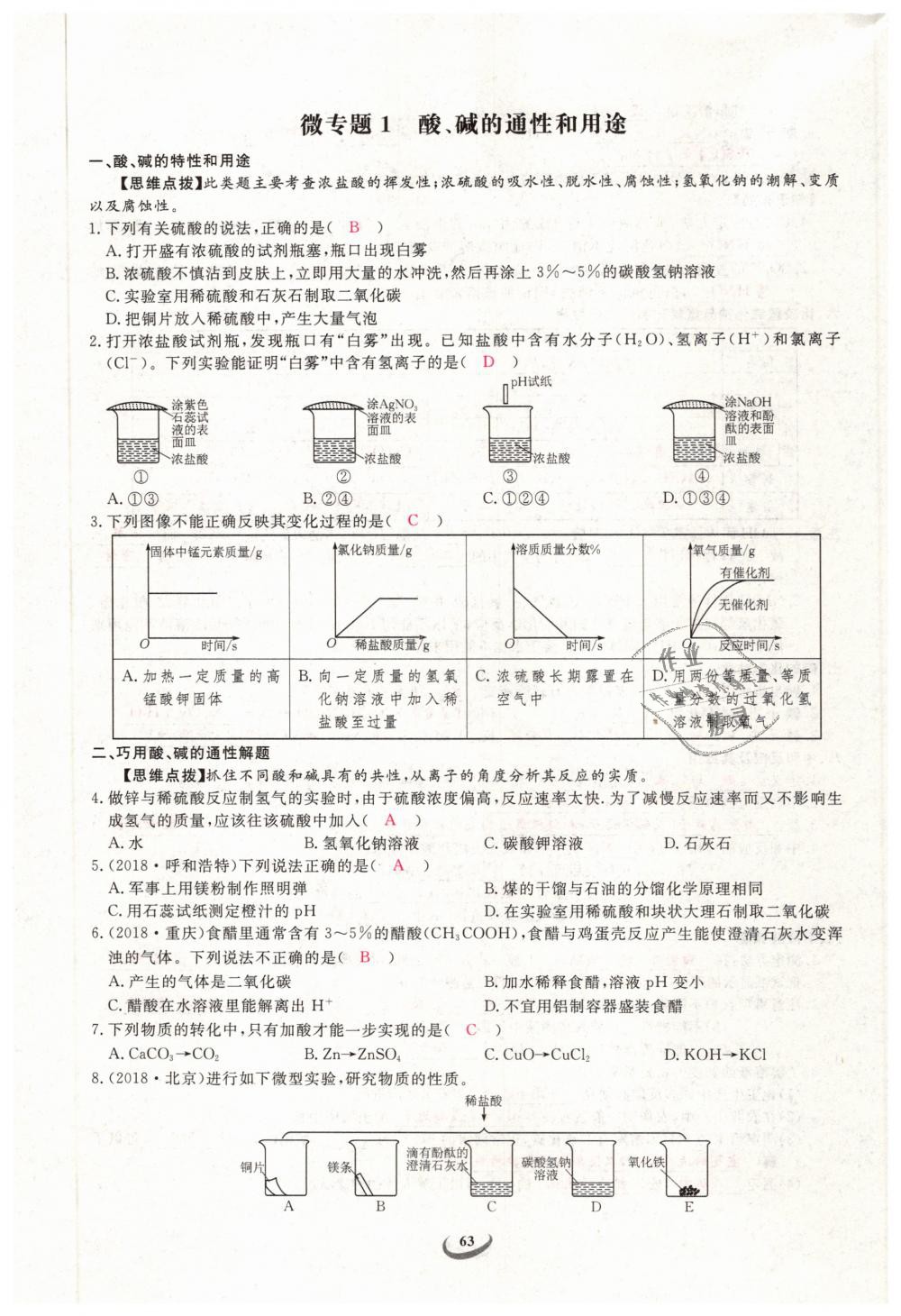 2019年思維新觀察九年級化學下冊人教版 第63頁