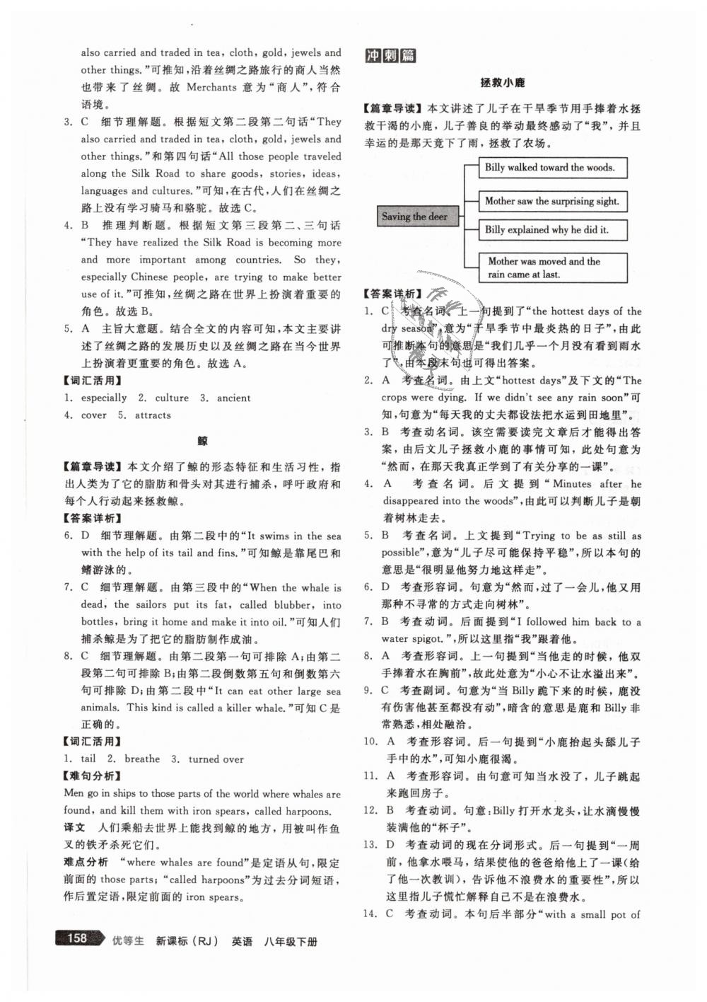 2019年全品優(yōu)等生八年級(jí)英語(yǔ)下冊(cè)人教版 第28頁(yè)