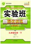 2019年實驗班提優(yōu)訓練九年級化學下冊滬教版