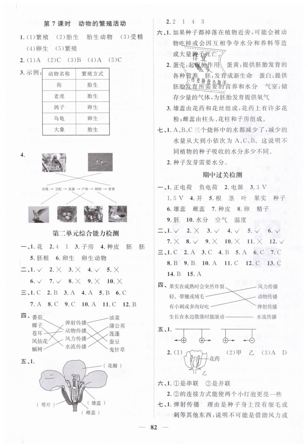 2019年阳光同学课时优化作业四年级科学下册教科版 第4页