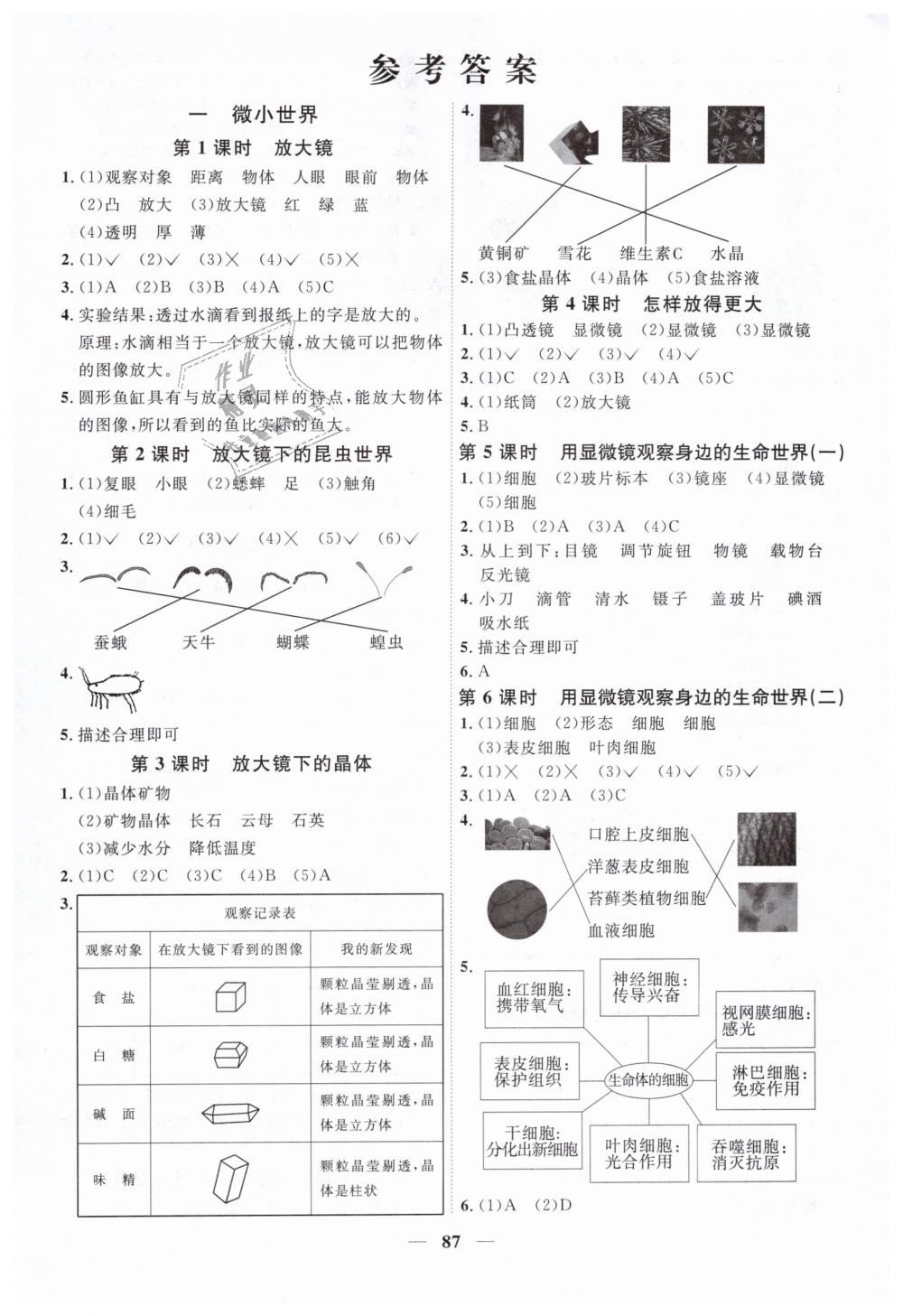 2019年陽(yáng)光同學(xué)課時(shí)優(yōu)化作業(yè)六年級(jí)科學(xué)下冊(cè)教科版 第1頁(yè)