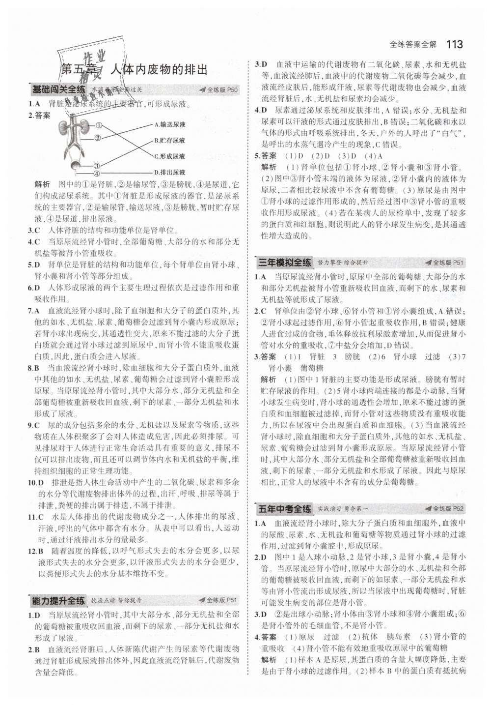 2019年5年中考3年模擬初中生物七年級下冊人教版 第19頁