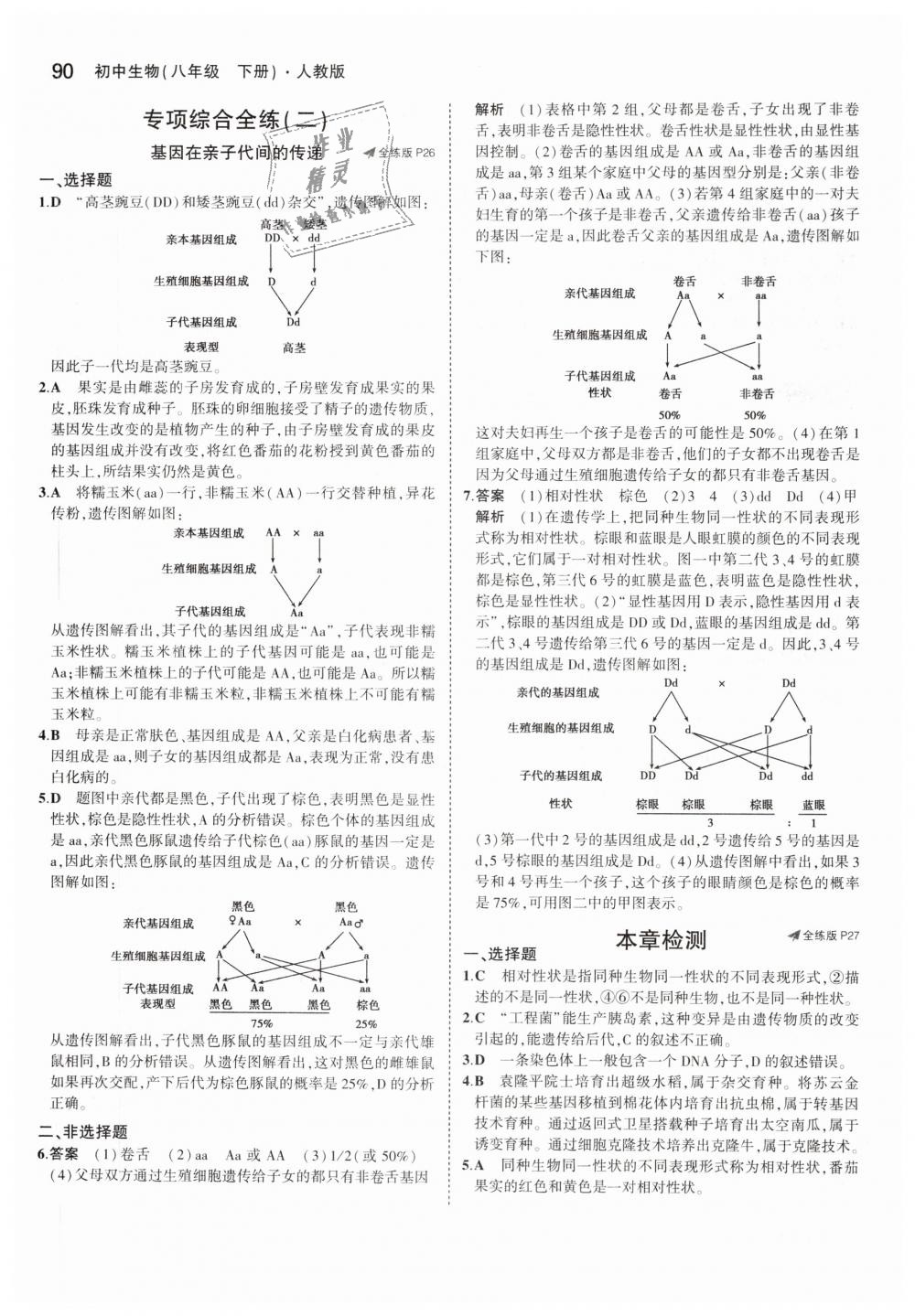 2019年5年中考3年模擬初中生物八年級下冊人教版 第13頁