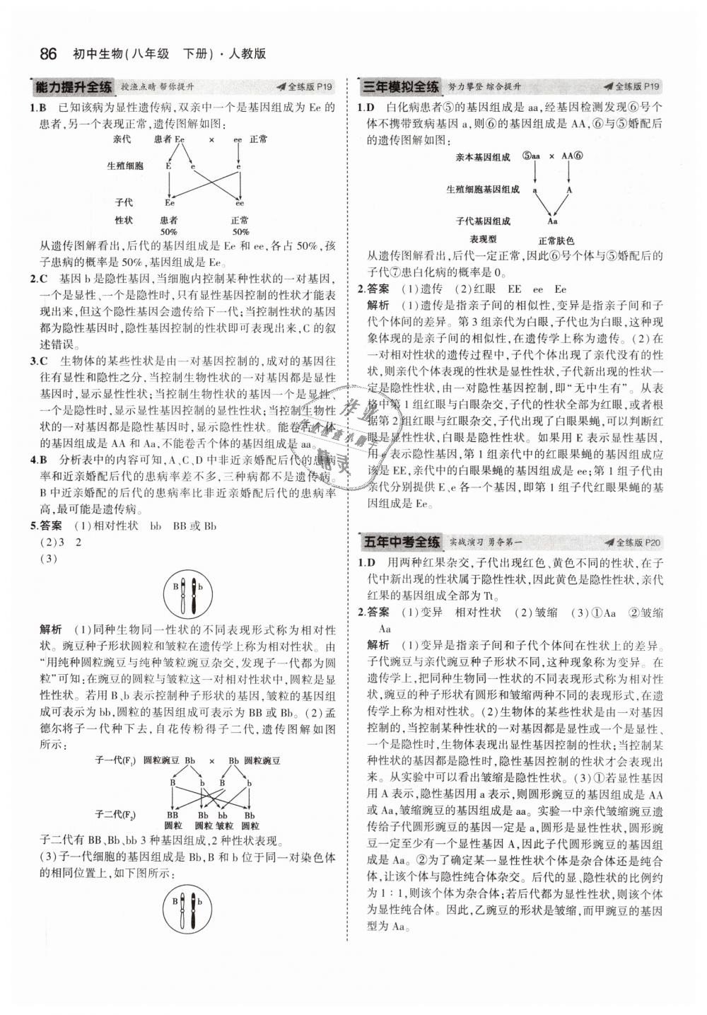 2019年5年中考3年模擬初中生物八年級下冊人教版 第9頁