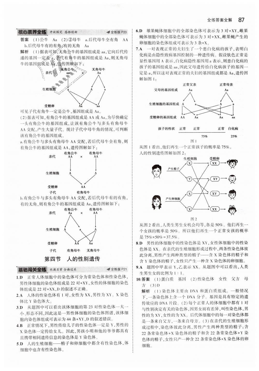 2019年5年中考3年模拟初中生物八年级下册人教版 第10页