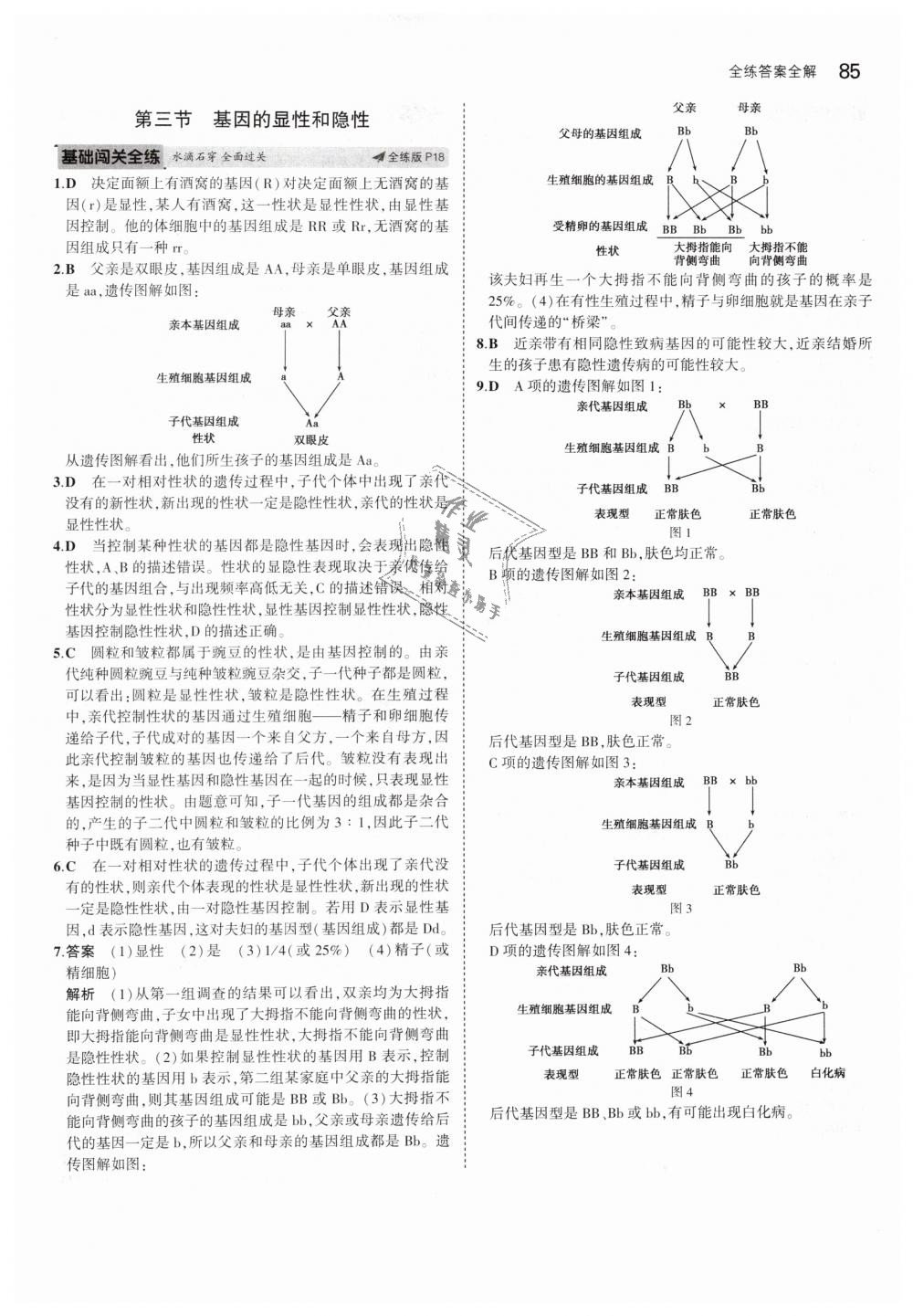 2019年5年中考3年模擬初中生物八年級(jí)下冊(cè)人教版 第8頁