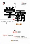 2019年經(jīng)綸學典學霸八年級數(shù)學下冊江蘇版