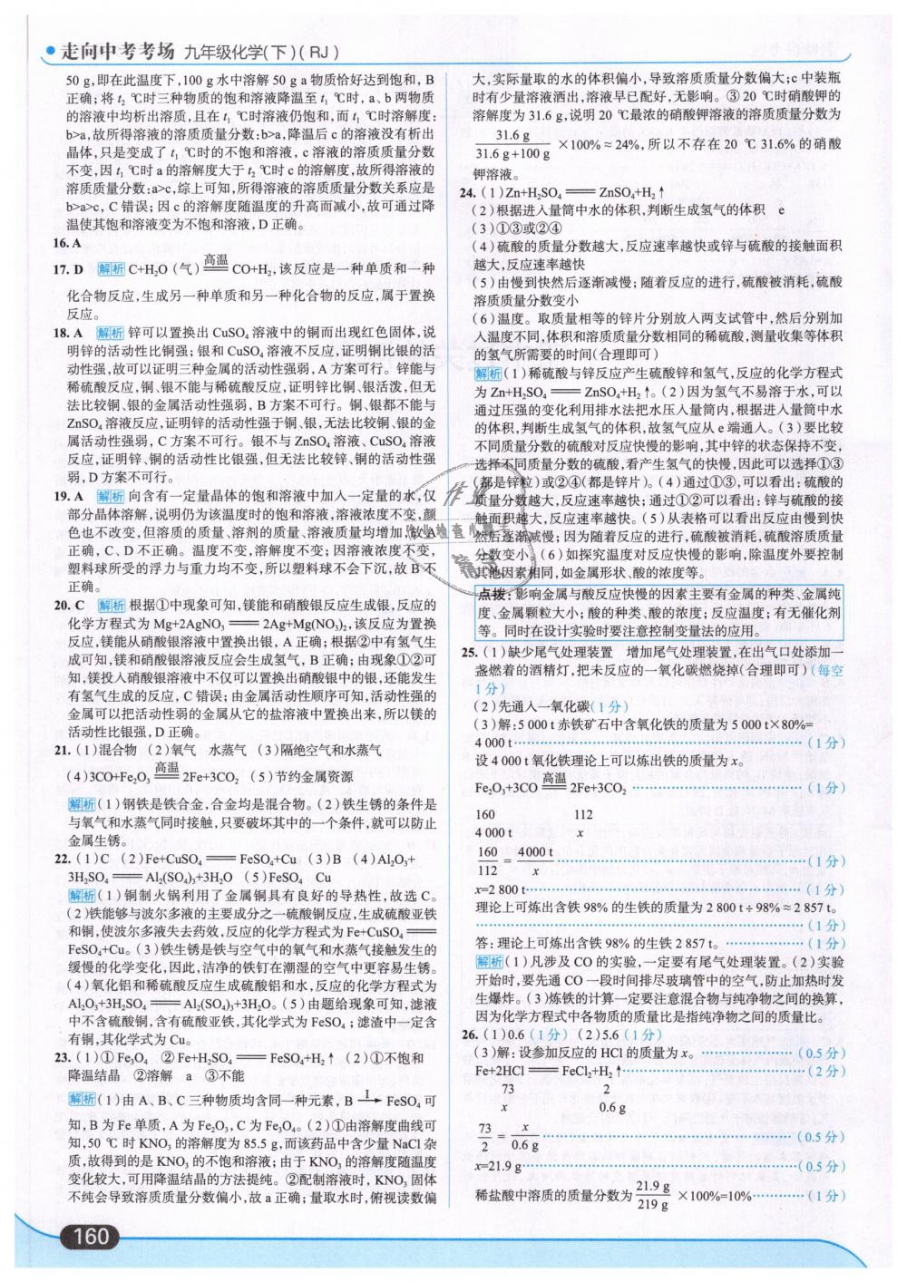 2019年走向中考考場九年級化學(xué)下冊人教版 第14頁