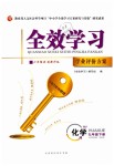 2019年全效學(xué)習(xí)九年級(jí)化學(xué)下冊(cè)人教版