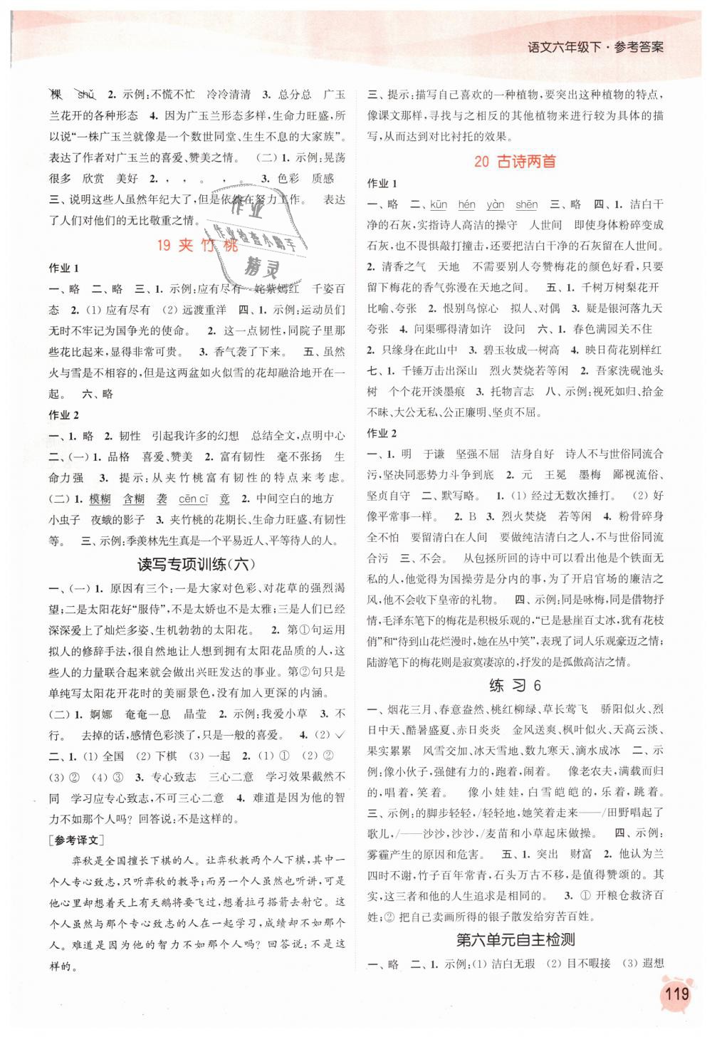 2019年通城學(xué)典課時(shí)作業(yè)本六年級語文下冊蘇教版江蘇專用 第9頁