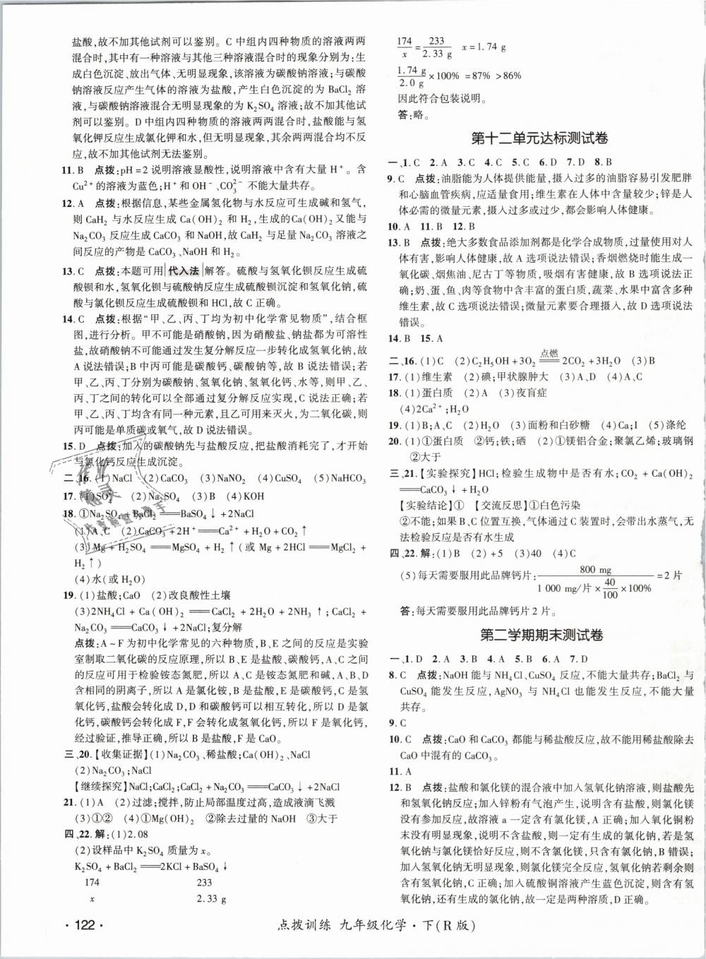 2019年點(diǎn)撥訓(xùn)練九年級(jí)化學(xué)下冊(cè)人教版 第3頁(yè)