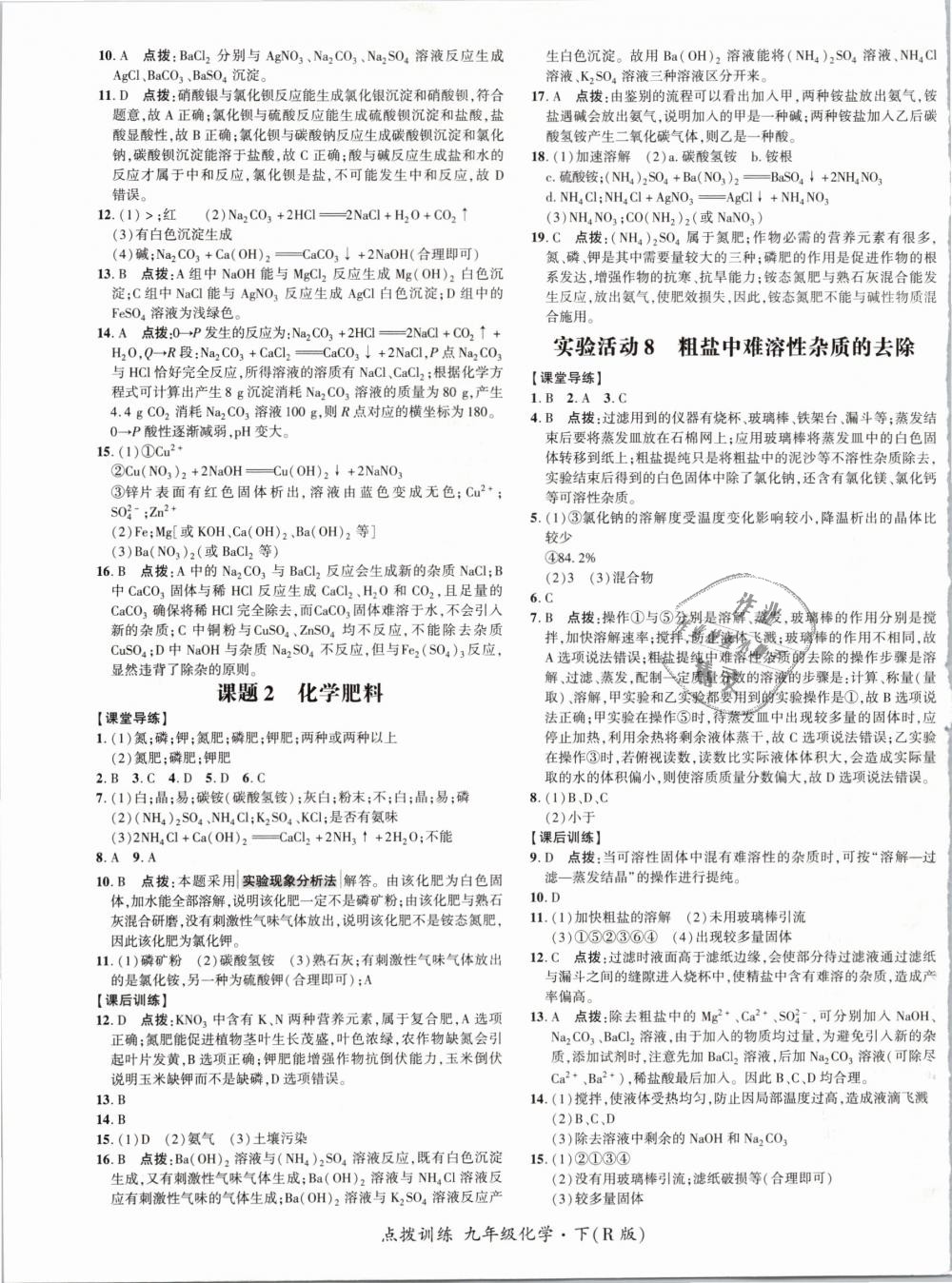 2019年點撥訓練九年級化學下冊人教版 第21頁