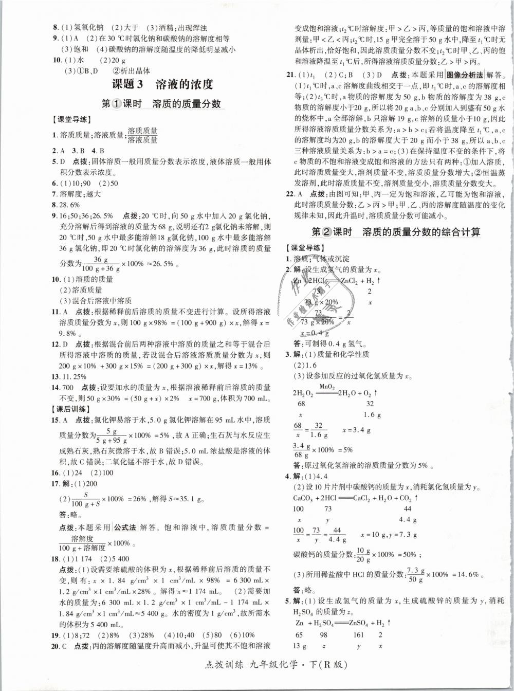 2019年點(diǎn)撥訓(xùn)練九年級化學(xué)下冊人教版 第13頁