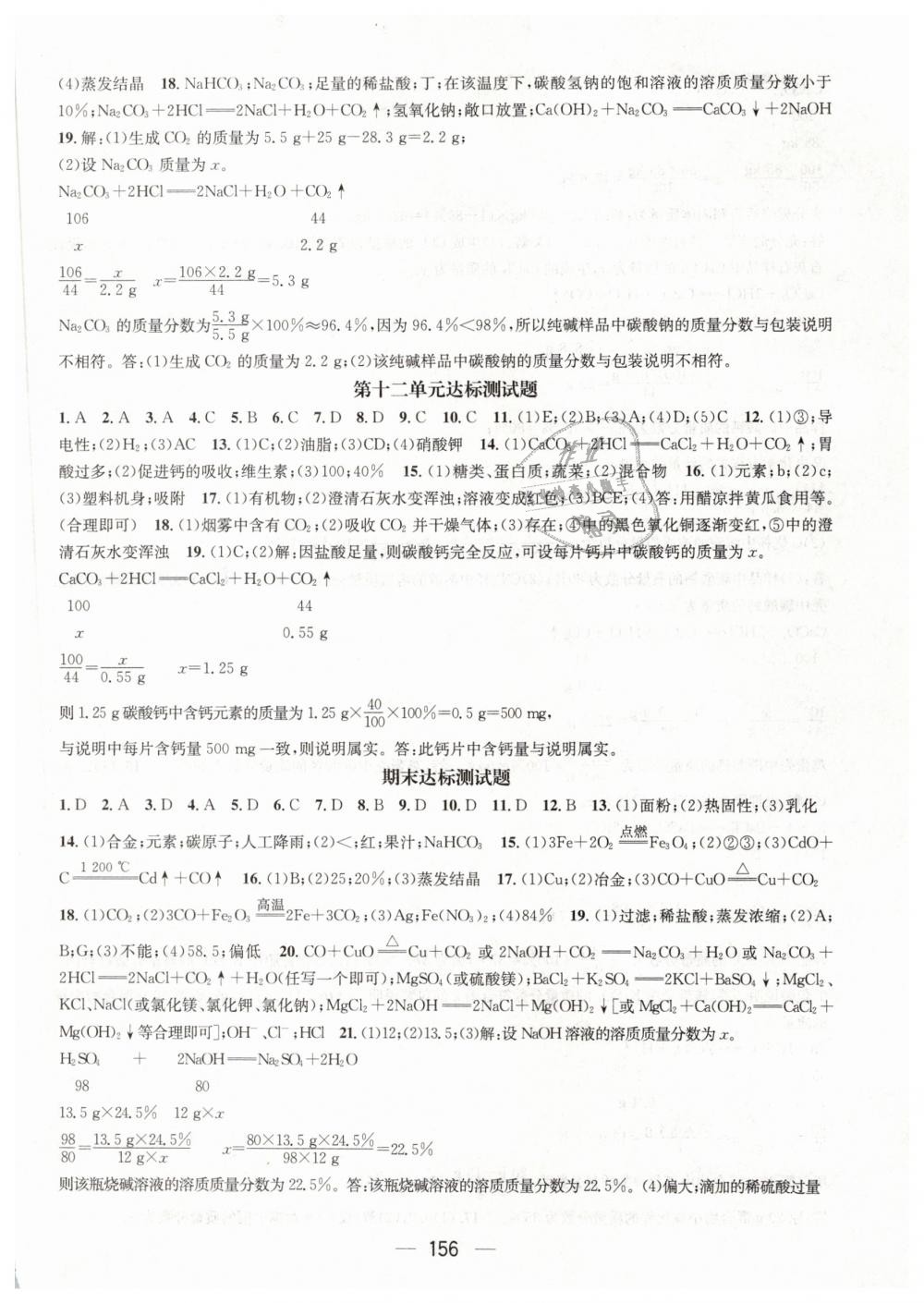 2019年精英新课堂九年级化学下册人教版 第16页