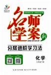 2019年名師學(xué)案九年級化學(xué)下冊人教版