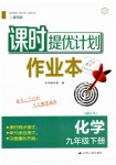 2019年課時提優(yōu)計劃作業(yè)本九年級化學下冊人教版