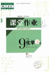 2019年長江作業(yè)本課堂作業(yè)九年級化學(xué)下冊人教版