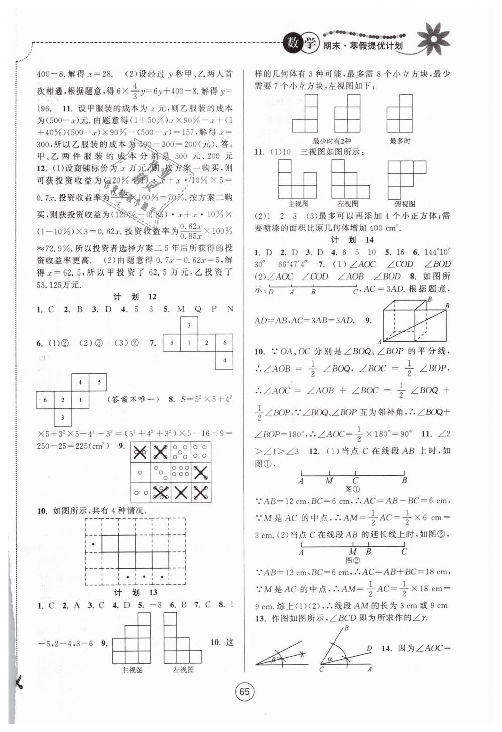 2019年期末寒假提優(yōu)計(jì)劃七年級(jí)數(shù)學(xué)蘇科版 第3頁