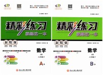 2019年精彩練習(xí)就練這一本八年級(jí)數(shù)學(xué)下冊(cè)浙教版