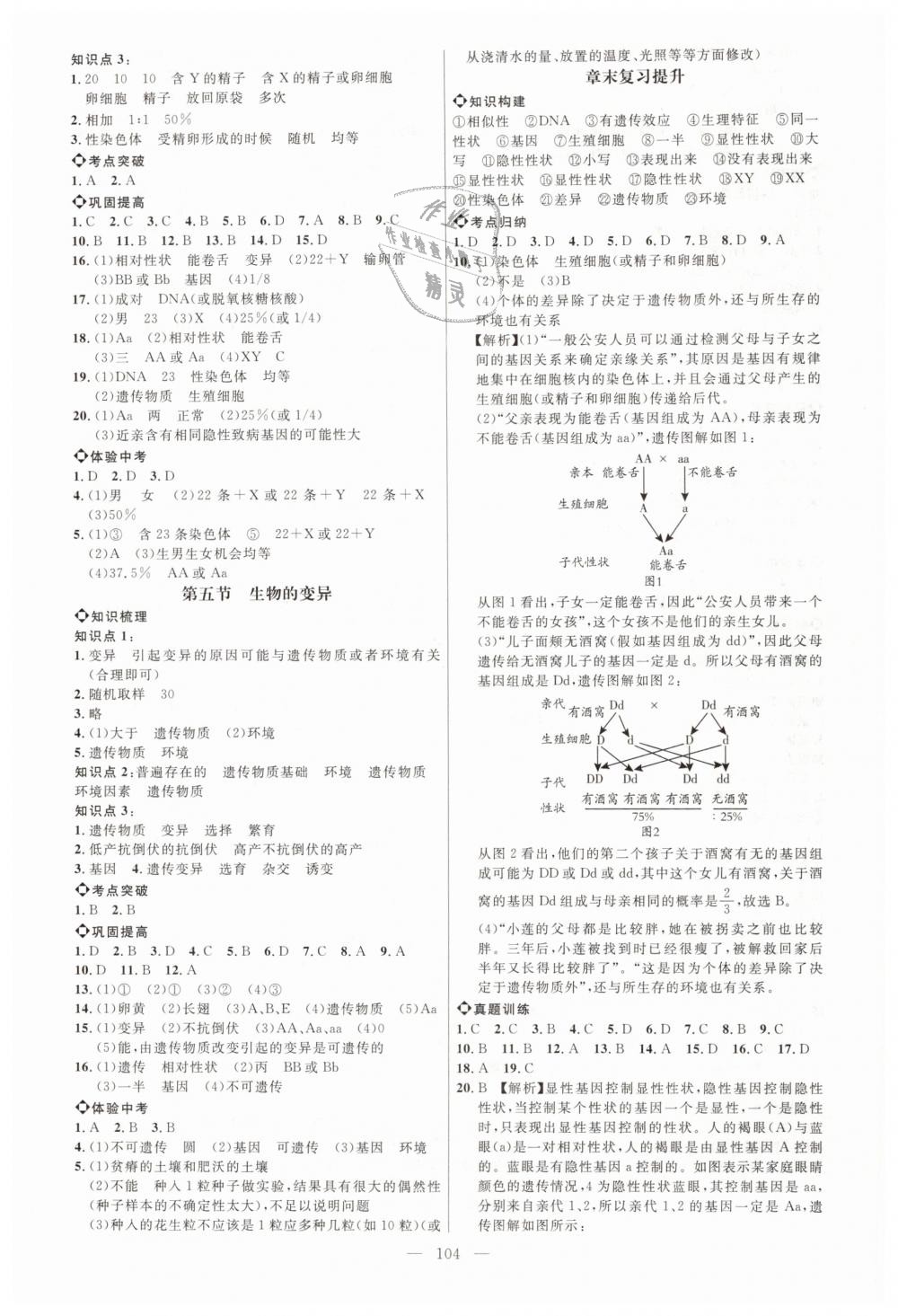 2019年細解巧練八年級生物下冊魯科版 第3頁