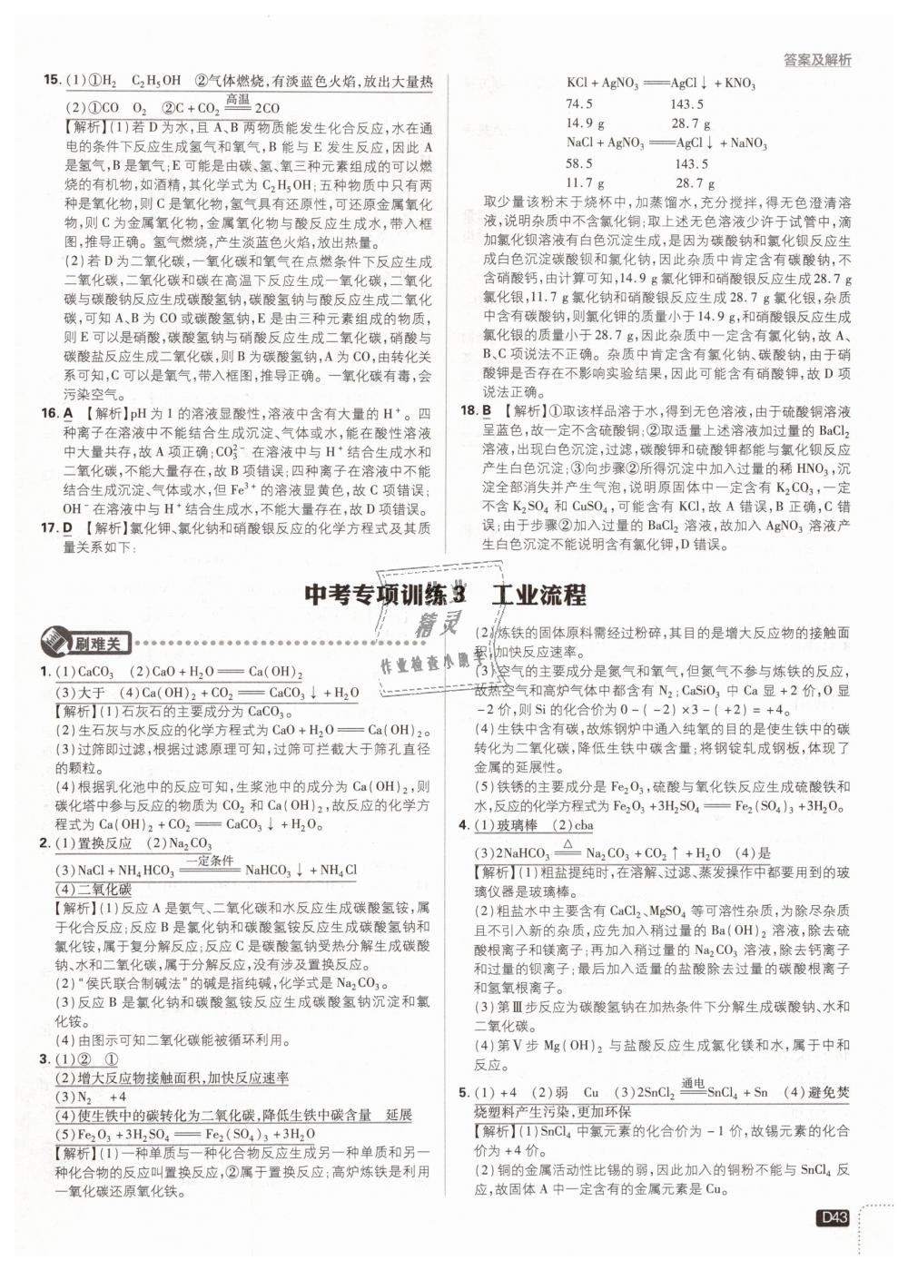 2019年初中必刷題九年級化學下冊人教版 第43頁