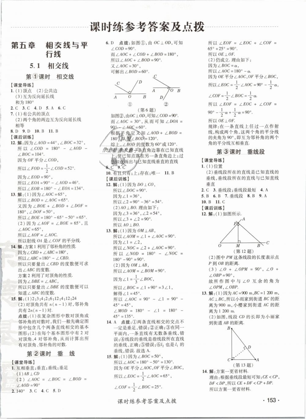 2019年點撥訓練七年級數(shù)學下冊人教版 第6頁