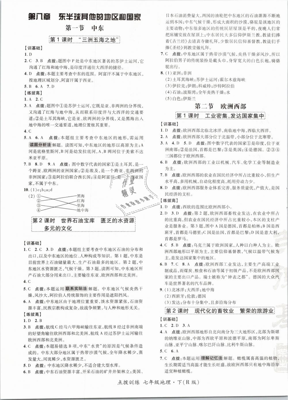 2019年點撥訓(xùn)練七年級地理下冊人教版 第9頁