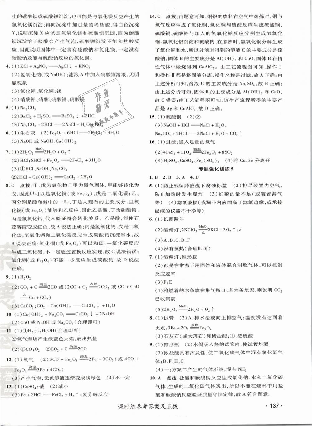 2019年点拨训练九年级化学下册科学版 第34页