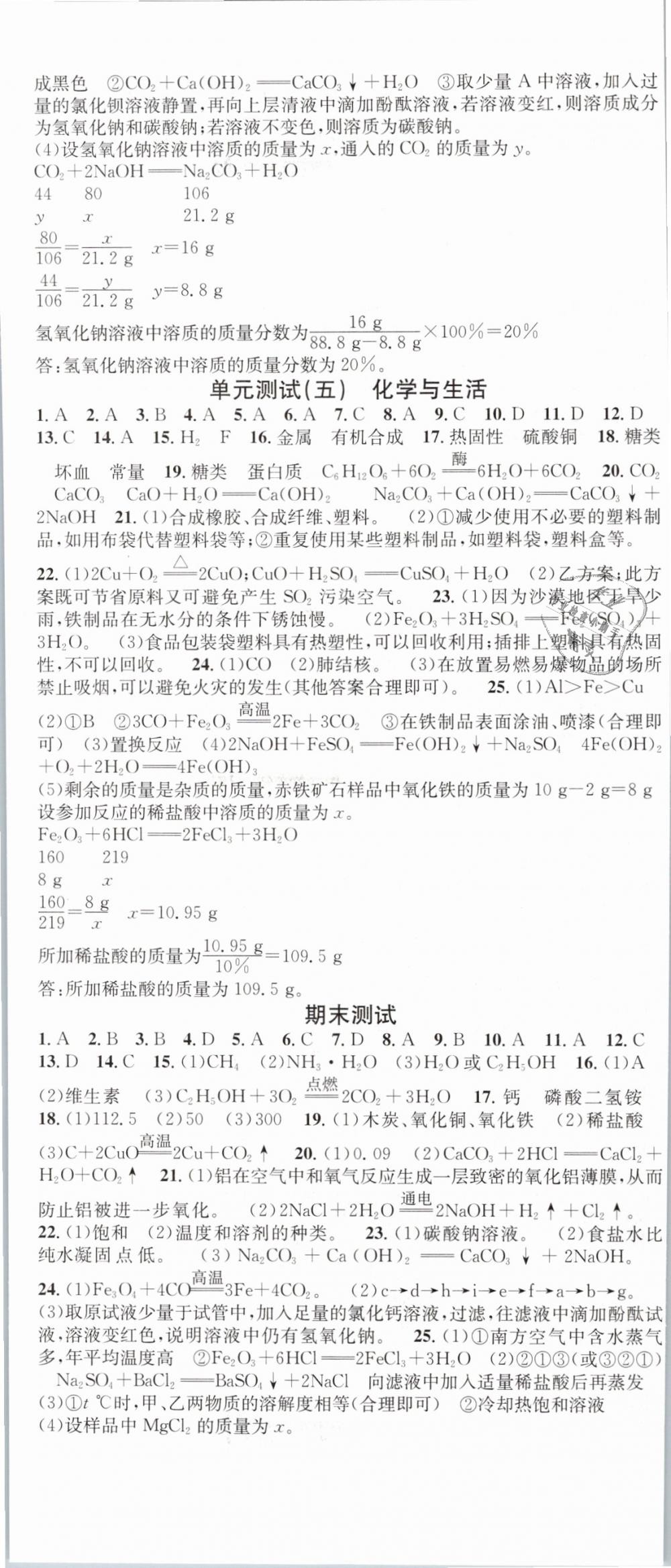 2019年名校課堂九年級化學(xué)下冊人教版河南專版 第17頁