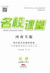 2019年名校課堂九年級化學下冊人教版河南專版