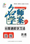 2019年名師學(xué)案八年級(jí)歷史下冊(cè)人教版