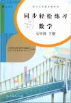 2019年同步輕松練習七年級數(shù)學下冊人教版