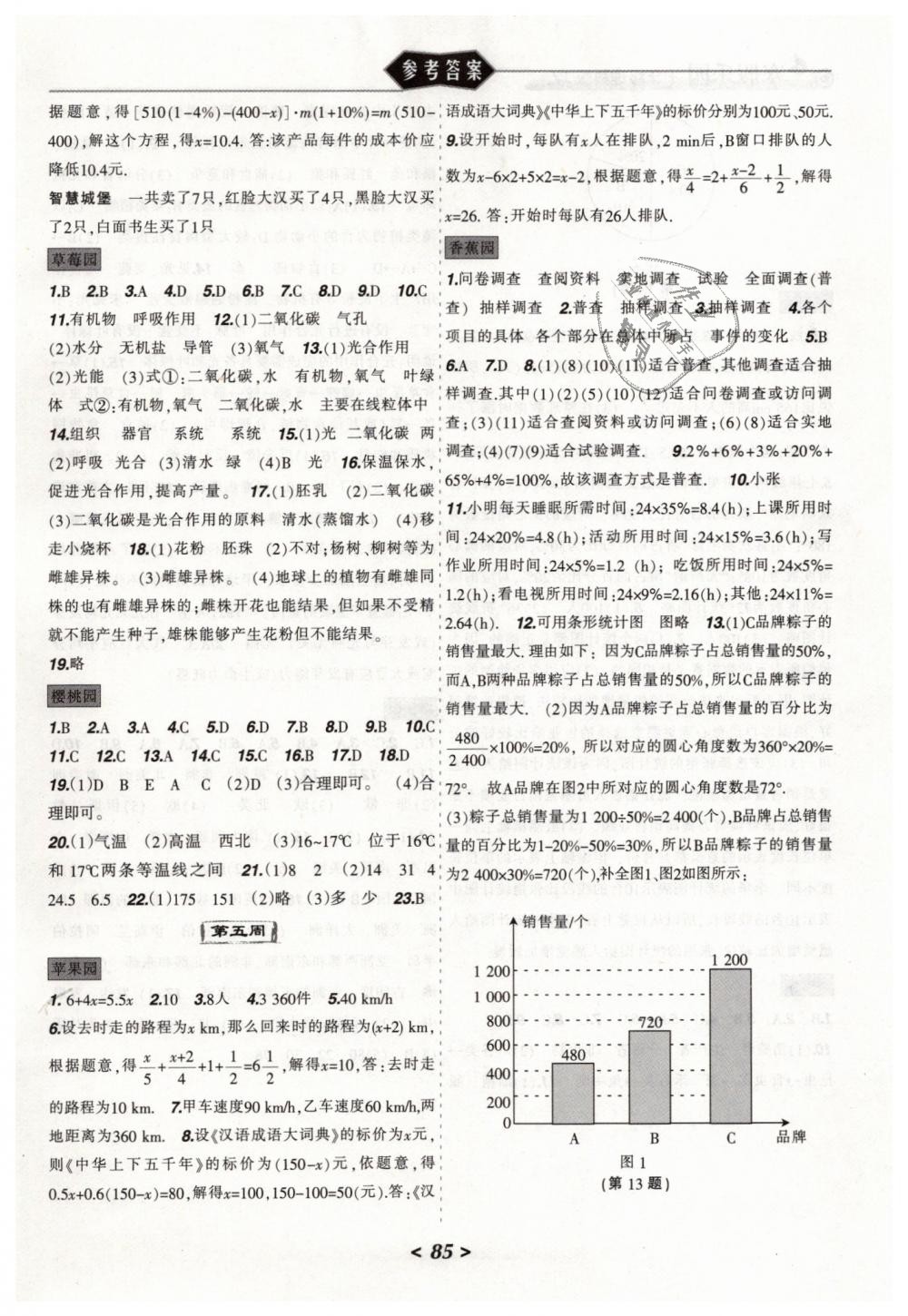 2019年寒假乐园七年级综合理科版JZ辽宁师范大学出版社 第5页